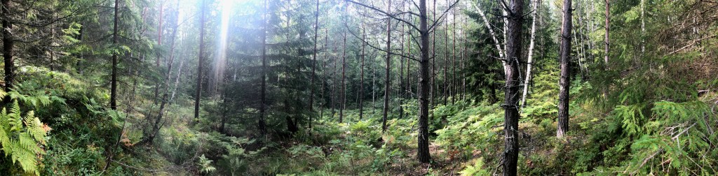 Allemansrätten (Every Man’s&nbsp;Right)