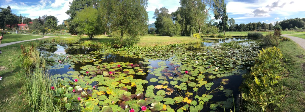 Bergianska Trädgården (Stockholm’s Botanical&nbsp;Gardens)